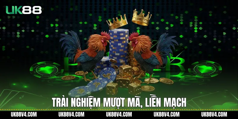 Đá Gà Đòn Trực Tiếp UK88 Và Trải Nghiệm Theo Dõi Ổn Định Trải nghiệm mượt mà, liền mạch
